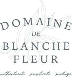 logo domaine blanche fleur en provence