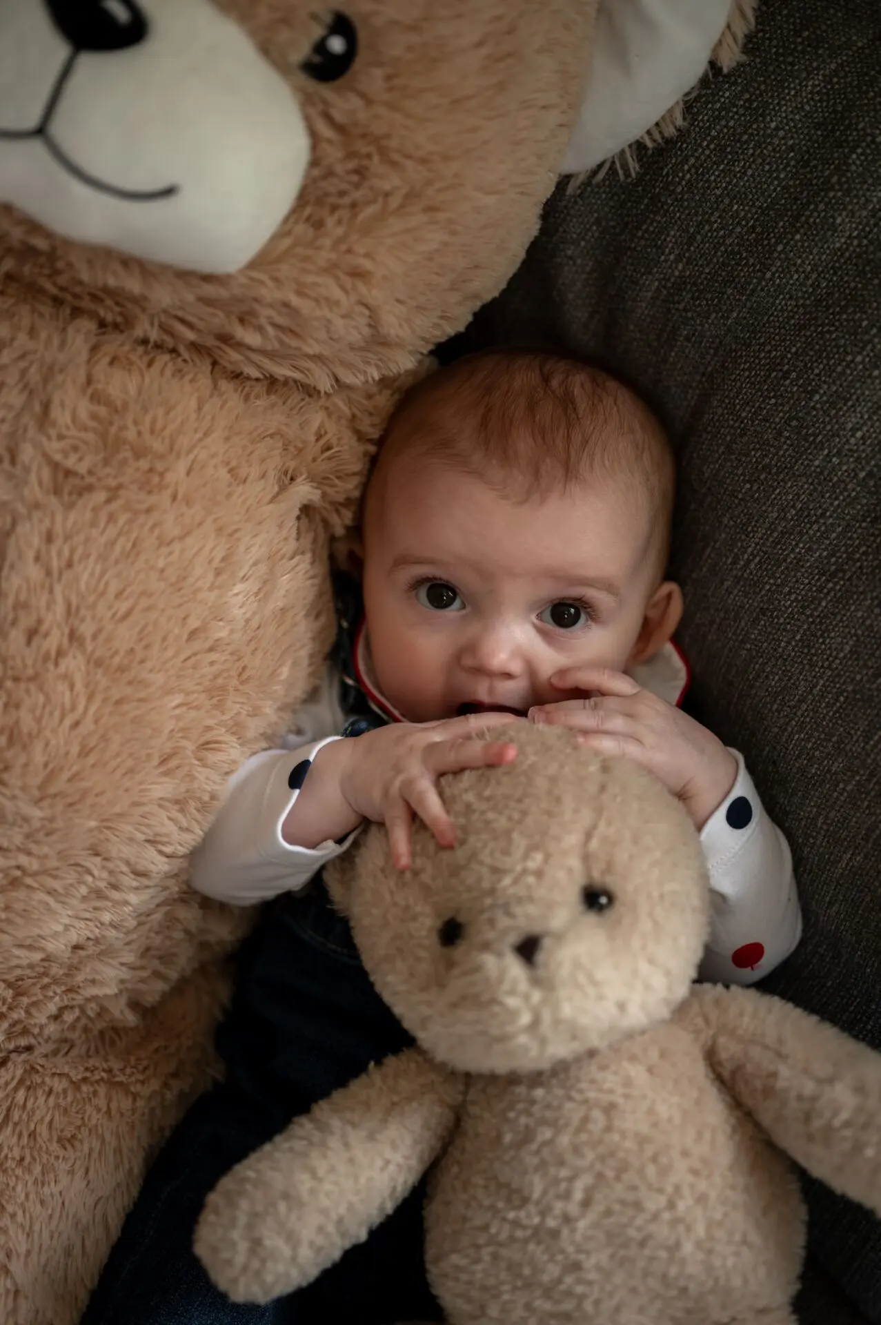 enfant croque son ours en peluche