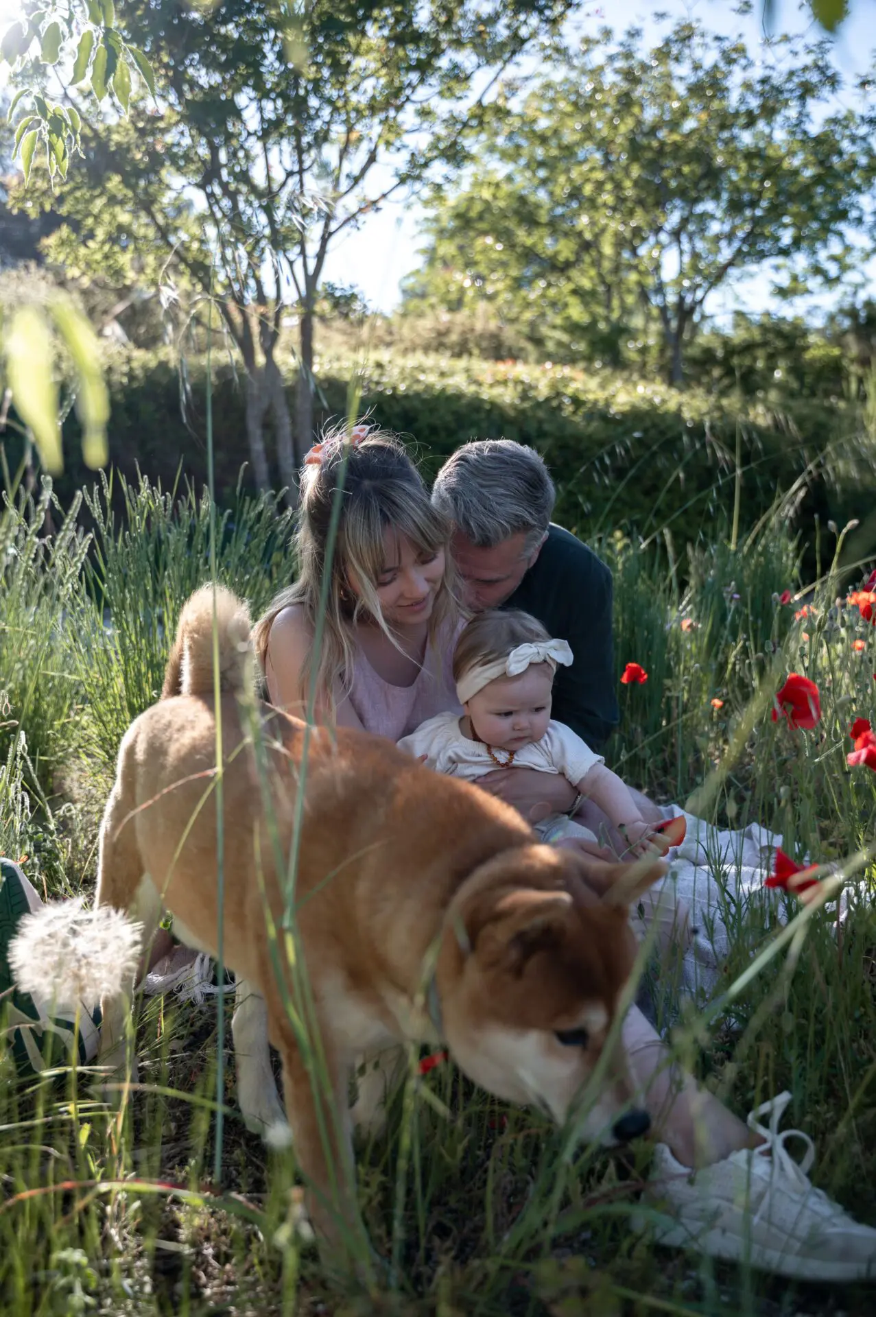 famille composée d'une femme d'un homme leur bébé dans un champ de coquelicot