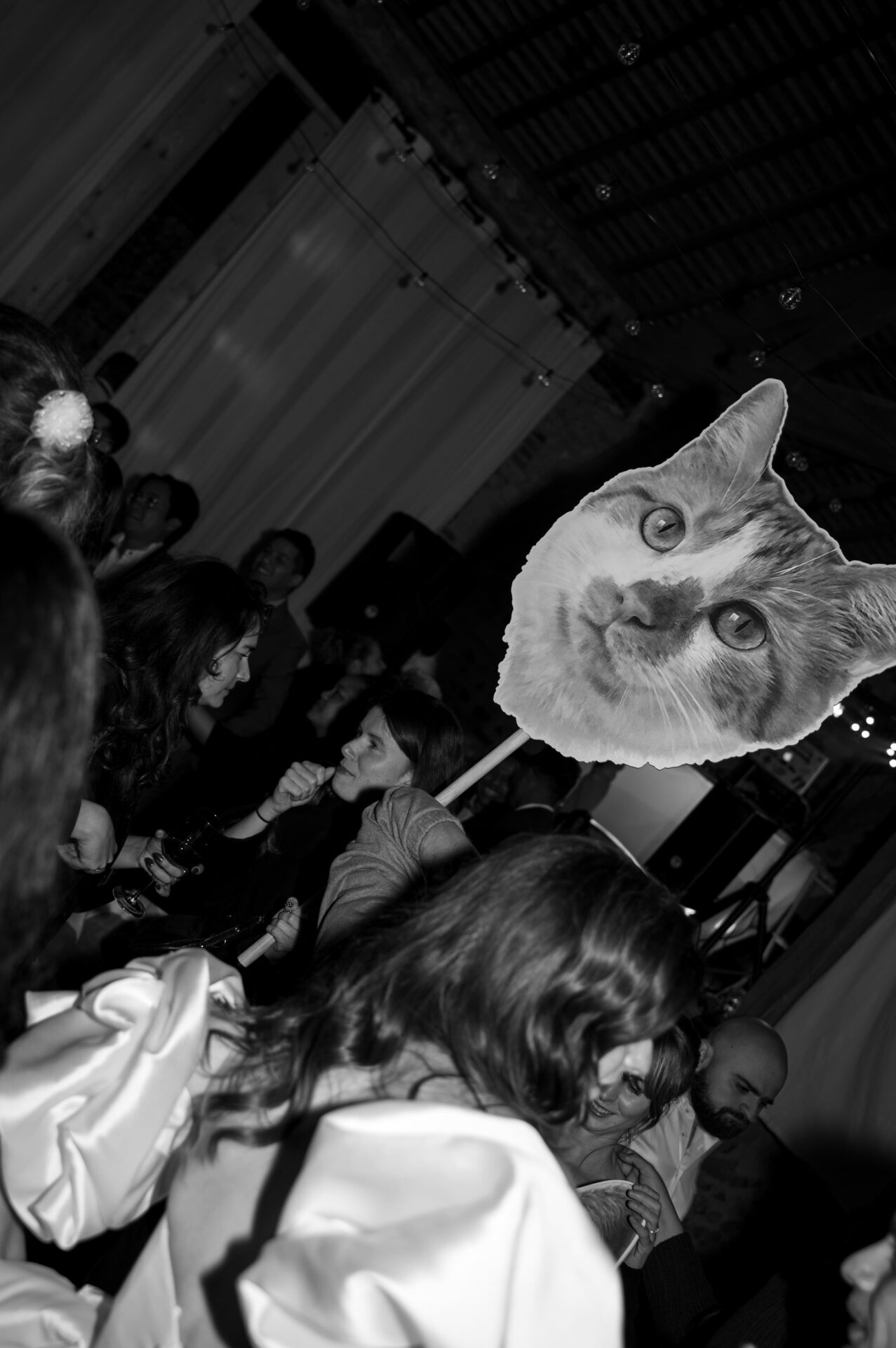 chat sont de la party !