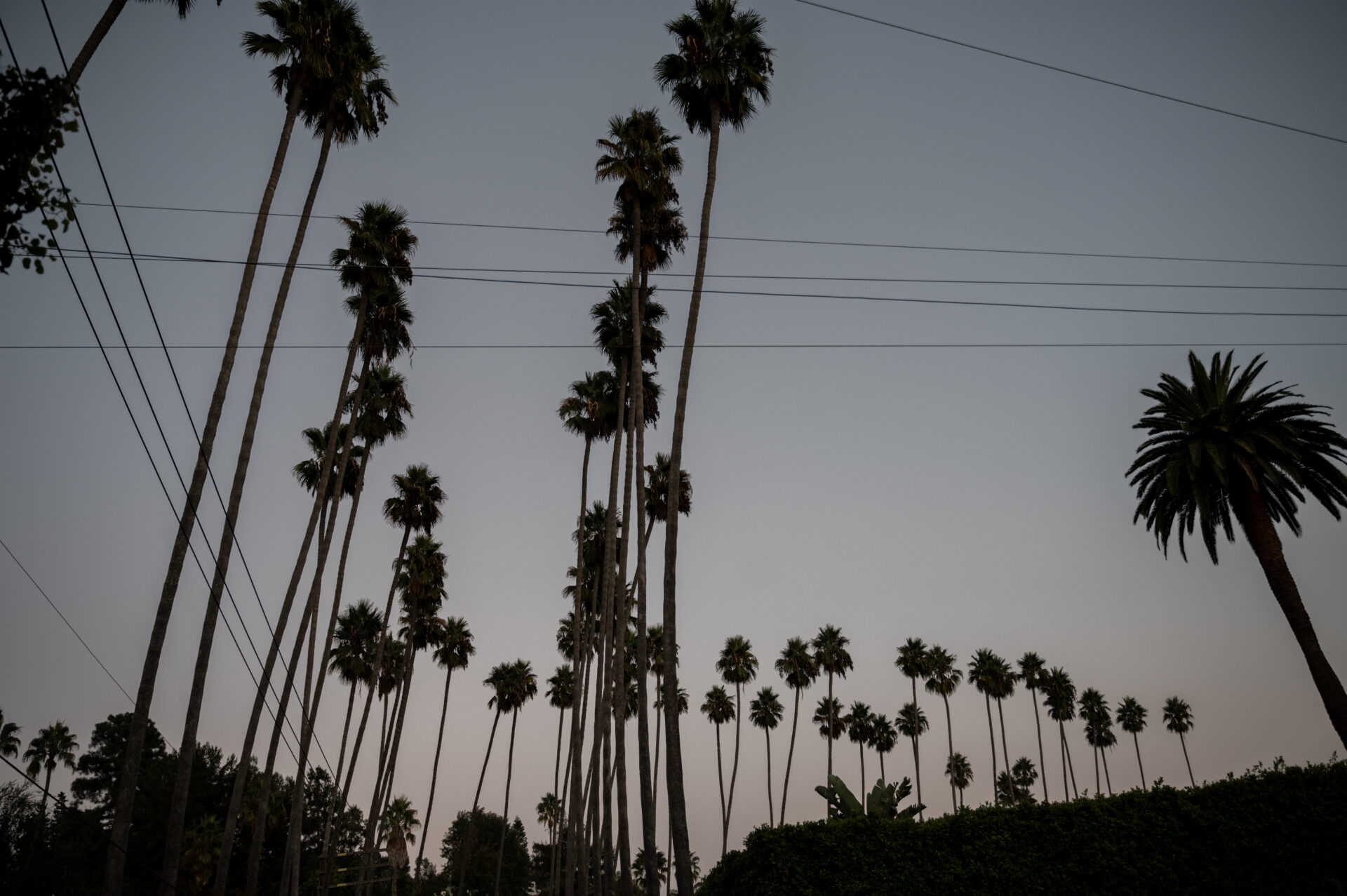 Beverly Hills, Los Angeles, California