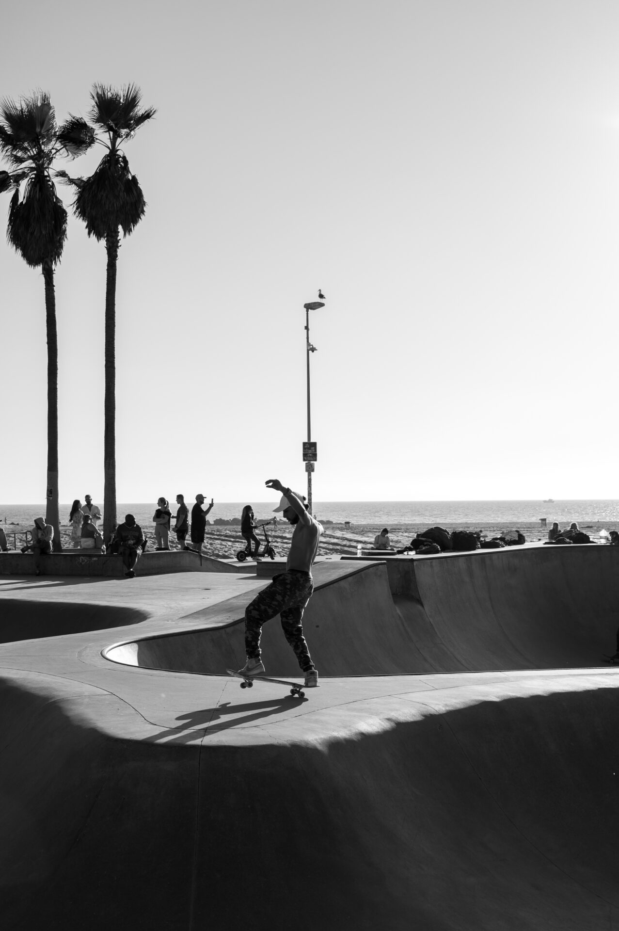 Venice Beach Skatepark, Los Angeles, California