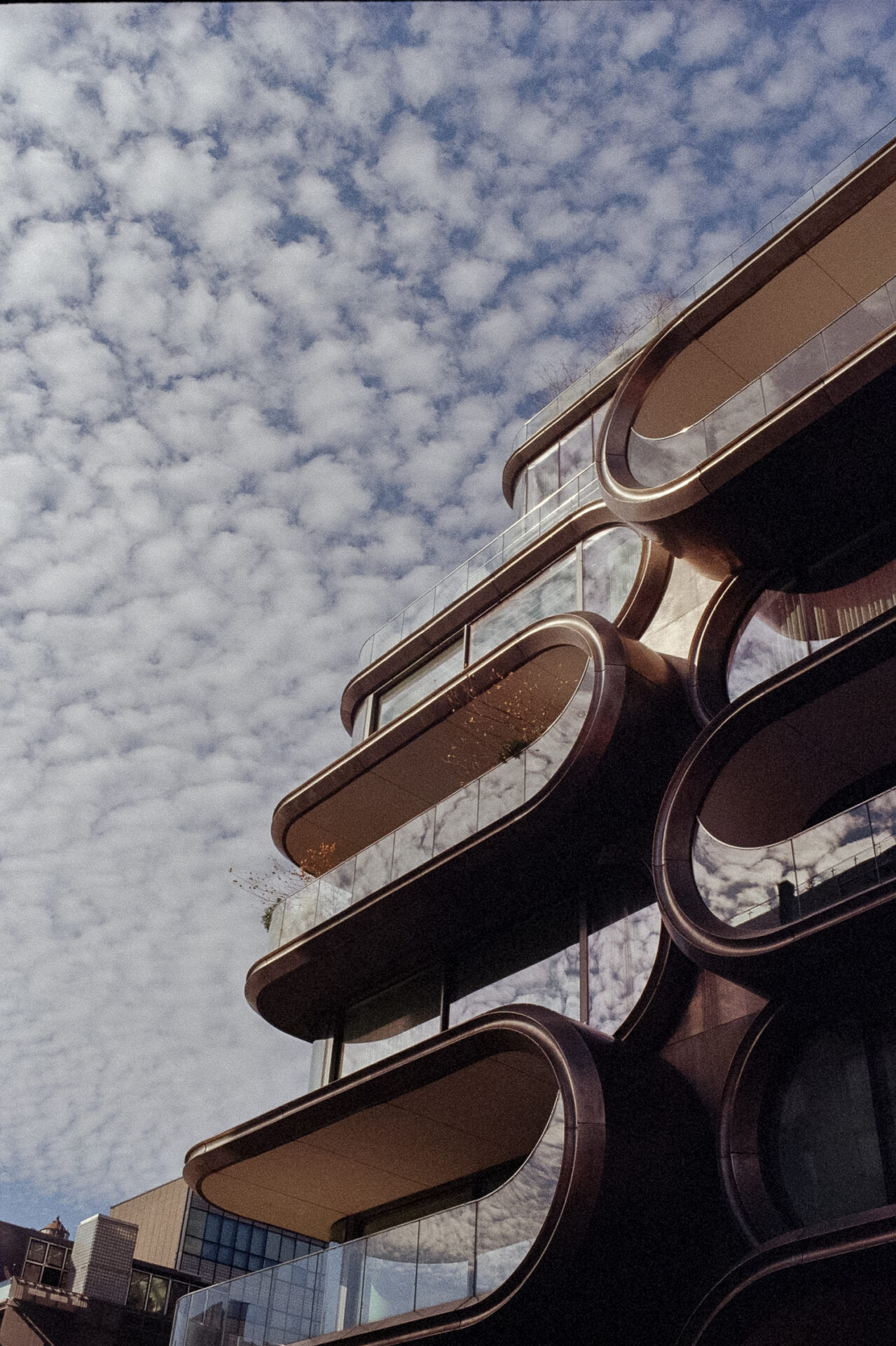 from the Highline, New-York City