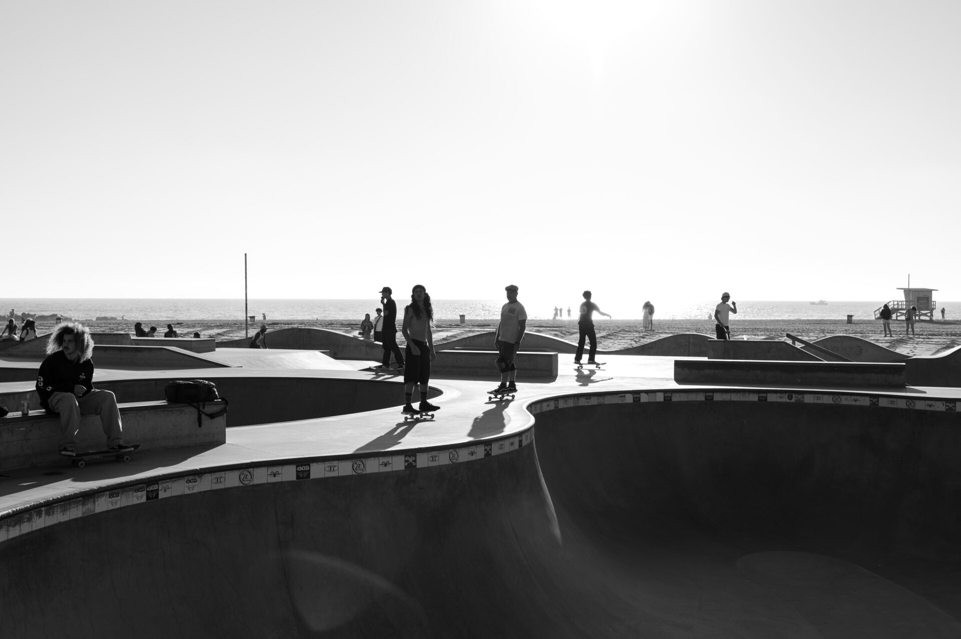 skaters backlight on the bowl at sunset