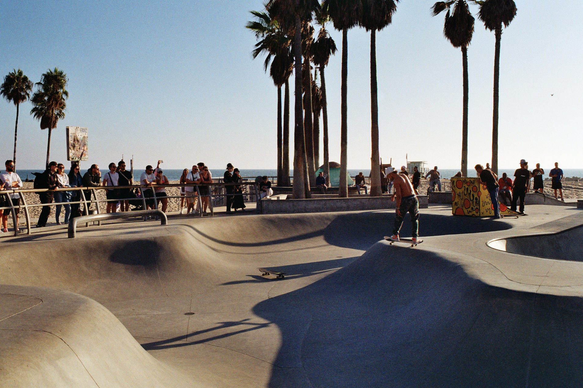 skater in the bowl on venice beach los angeles