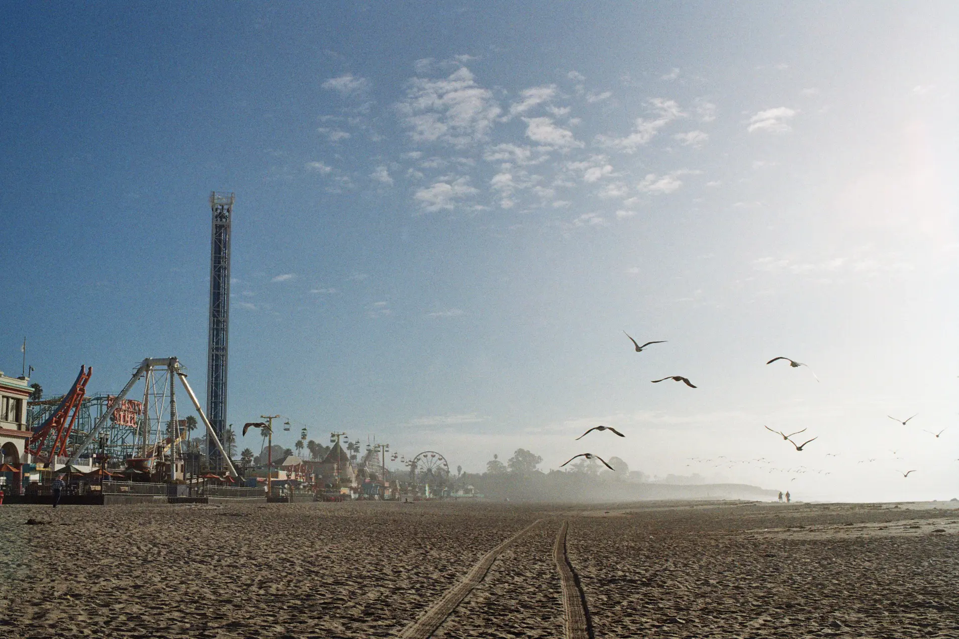 birds flying above the beach with the rollercoaster closed on the right